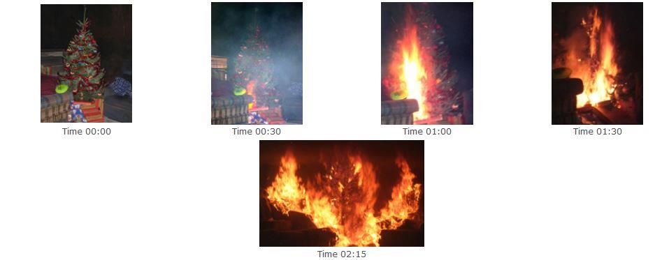 Tree Fire Progression