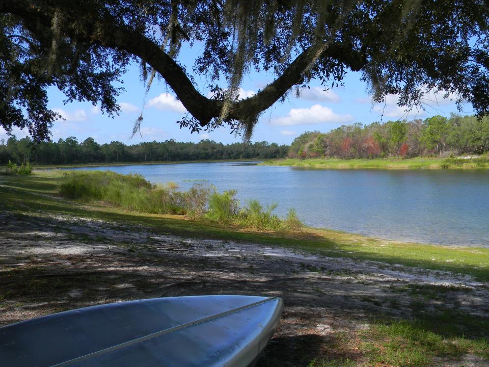 Horseshoe Lake Canoe