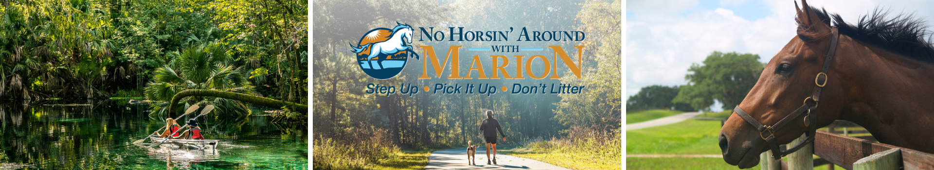 No Horsin' Around with Marion