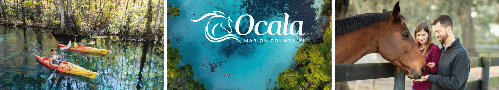 Ocala/Marion Web Header