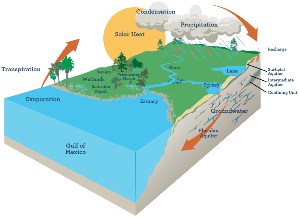 Water Cycle Diagram