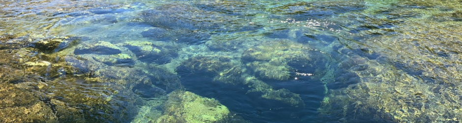 Salt Springs Header