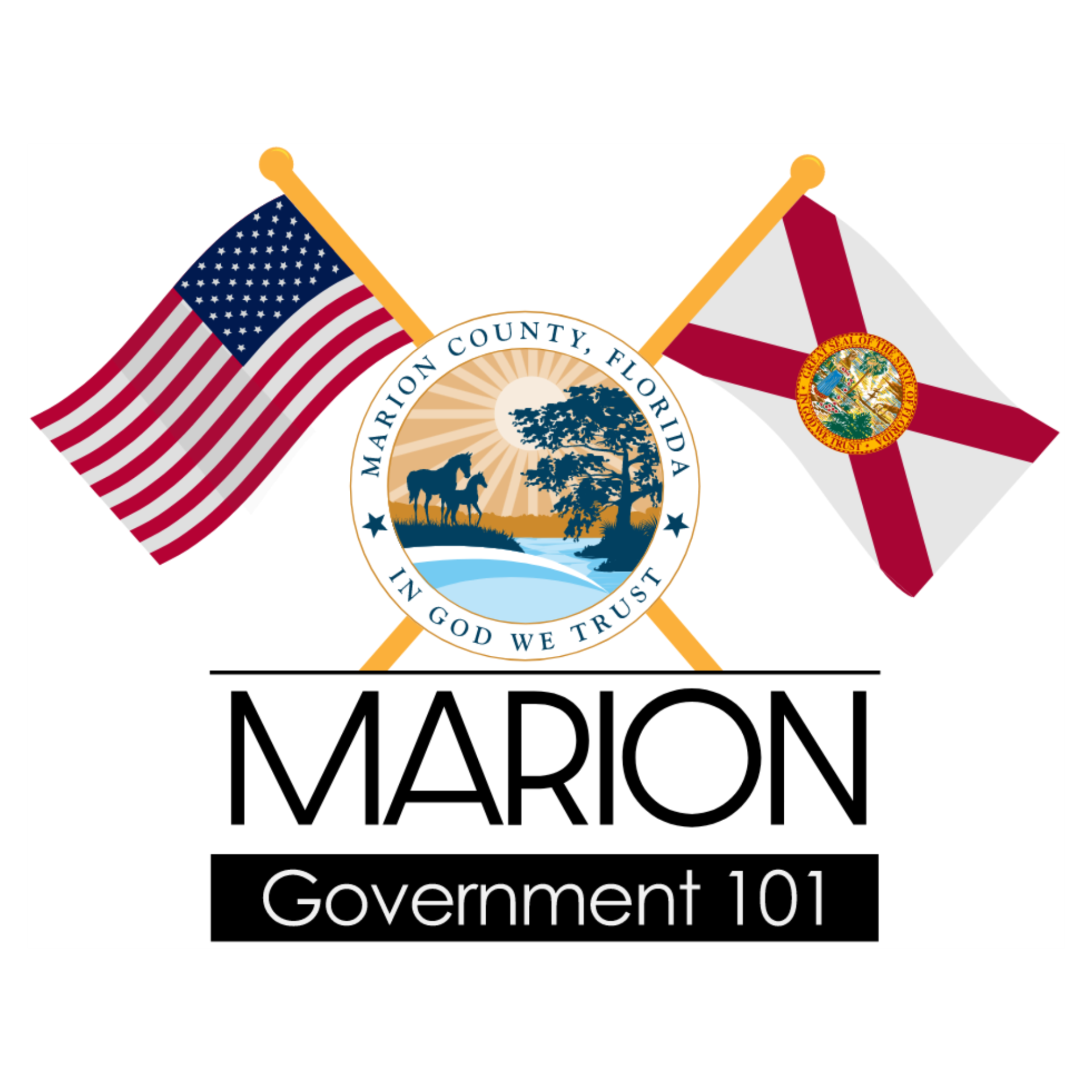 Marion Government 101